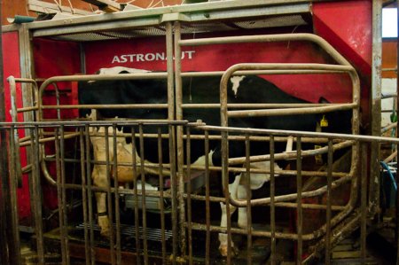 Итоги работы сельского хозяйства в январе-марте 2011 года