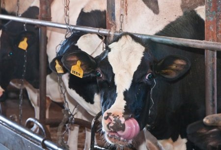 Свердловские сельхозпроизводители получат дополнительную поддержку