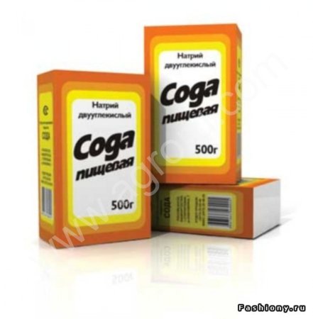 15 августа 2006 года состоялось очередное заседание по проекту «Развитие АПК»