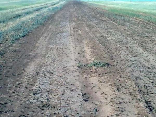 Франция: морозы погубили озимые на 8% всей площади сева