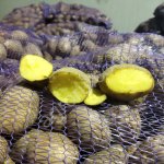 Картофель Бриз