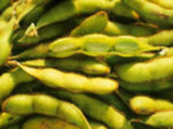 Экспорт сои из США должен восстановиться