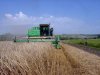 Китай ждет российское зерно