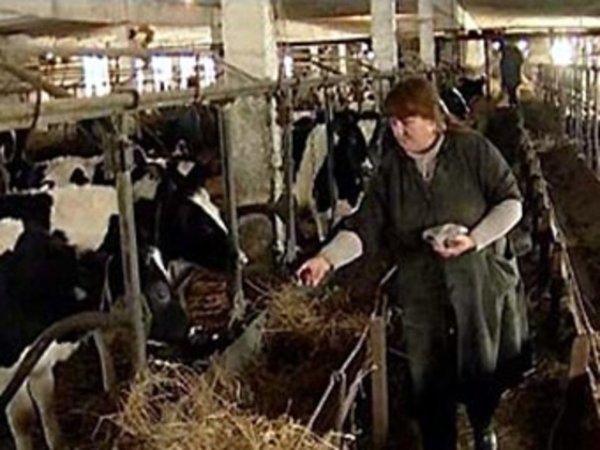 Ярославский регион улучшает показатели