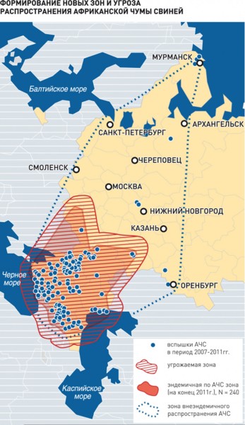 Россияне могут остаться без сала