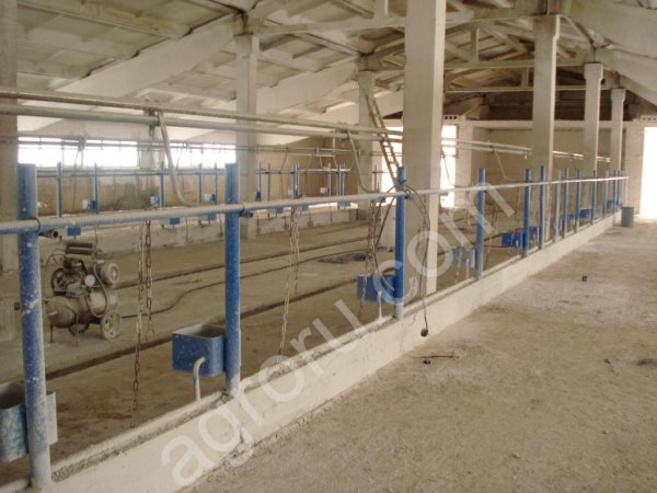 Стойловое оборудование