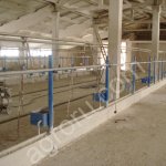 Стойловое оборудование