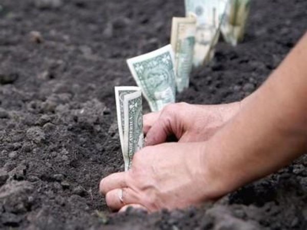 12% бесхозных земель в Башкирии