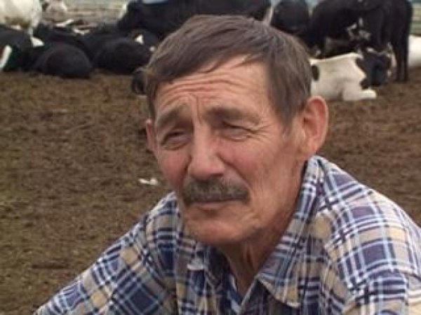 Украинские фермеры не знают, что делать с молоком