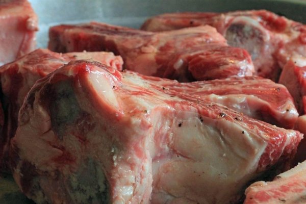 Война на выживание