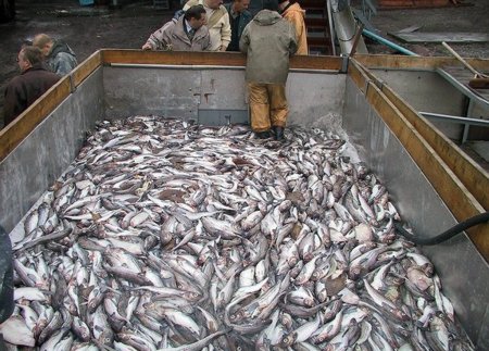 АДМ держит курс на внутренний рынок