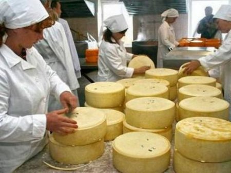 После введения санкций люди не верят нашим сырам и молоку - председатель региональной ассоциации сельхозпроизводителей