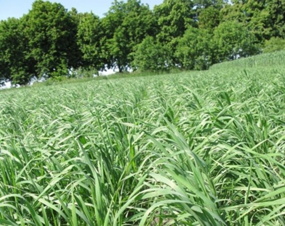 Не проведены обследования земельных угодий