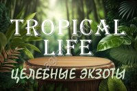 Приглашаем инвесторов к участию в новом проекте Субтропики России