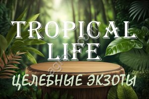 Приглашаем инвесторов к участию в новом проекте Субтропики России