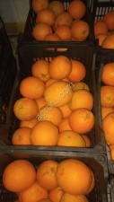 Апельсины