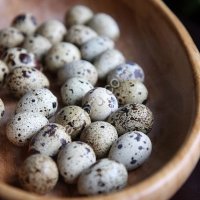 Яйцо перепелиное