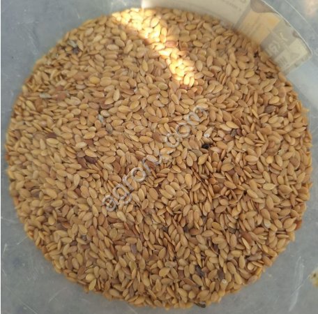 Лен золотистый некондиция