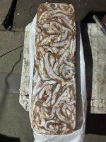 Мойва тихоокеанская НР