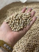 Горох ОРГАНИЧЕСКИЙ Бельмодно