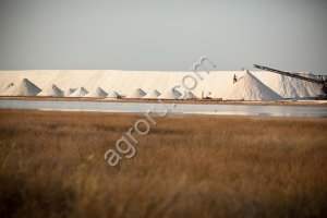 Крымская Соль морская пищевая садочная, высший сорт. Соль морская мелкий, средний,крупный помол