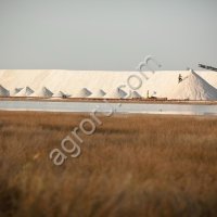 Крымская Соль морская пищевая садочная, высший сорт. Соль морская мелкий, средний, крупный помол