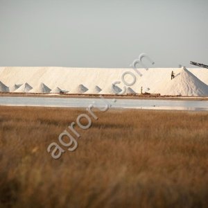 Крымская Соль морская пищевая садочная, высший сорт. Соль морская мелкий, средний,крупный помол