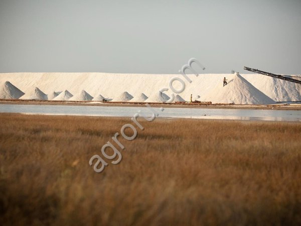 Крымская Соль морская пищевая садочная, высший сорт. Соль морская мелкий, средний,крупный помол