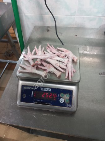Куриные лапы на экспорт