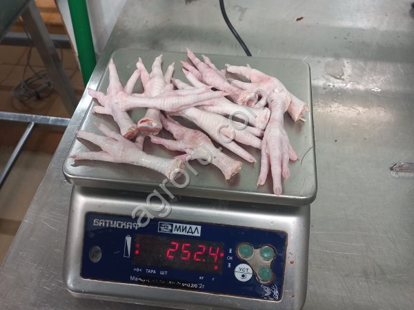 Куриные лапы на экспорт