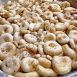 Грузди мохнатые