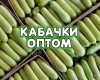Кабачки Оптом, сорт Арал, свежие с поля в Краснодарском крае
