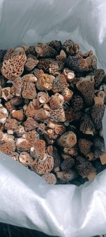 СВЕЖЕЗАМОРОЖЕННЫЕ ГРИБЫ ОТ КОМПАНИИ Грибной Алтай