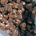 СВЕЖЕЗАМОРОЖЕННЫЕ ГРИБЫ ОТ КОМПАНИИ Грибной Алтай