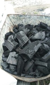 Уголь Березовый