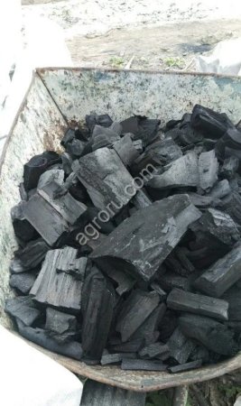 Уголь Березовый