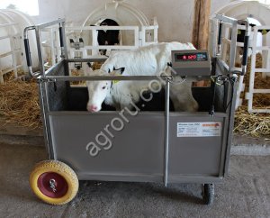 Тележка с весами для телят, коз, овец.