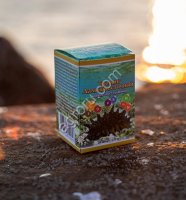 Капсулы Трепанг 100кап,