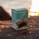 Капсулы Трепанг 100кап,