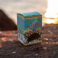 Капсулы Трепанг 100кап,