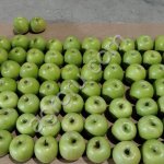 яблоки от производителя