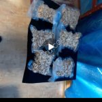 Сухие грибы Лисичка