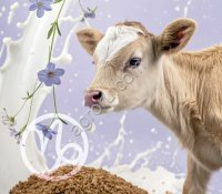 ЗЦМ «КапиМилк лен» для телят с 20-ти дневного возраста