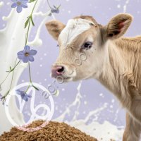 ЗЦМ «КапиМилк лен» для телят с 20-ти дневного возраста