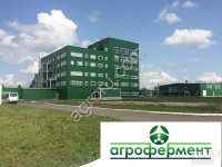 Ферментный препарат Нордитокс-МЭК-Б