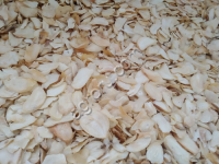 <strong>Чеснок</strong> сушеный (хлопья, гранулы, порошок)