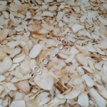 Чеснок сушеный (хлопья, гранулы, порошок)