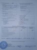 Семена лука МАНАС КАТИНКА БОНУС 2025