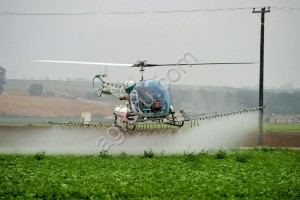 Обработка посевов вертолетом