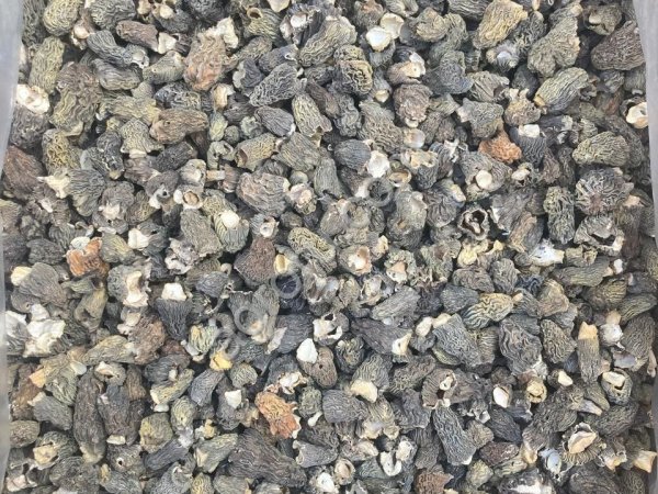 сморчок сушеный